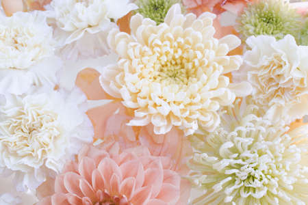 Flowers Close Up for Backgroundの写真素材