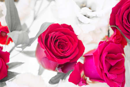 Arrangement of red roses and white lisianthusの写真素材