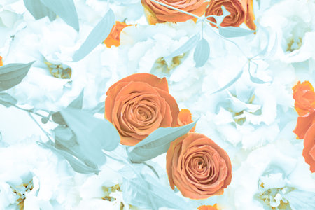 Arrangement of red roses and white lisianthusの写真素材