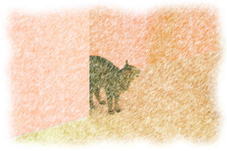 Colored pencil style drawing. Cat by the wallの写真素材