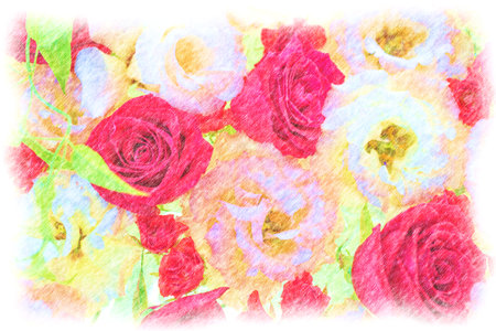 Red roses and white lisianthus drawn with colored pencils.の写真素材