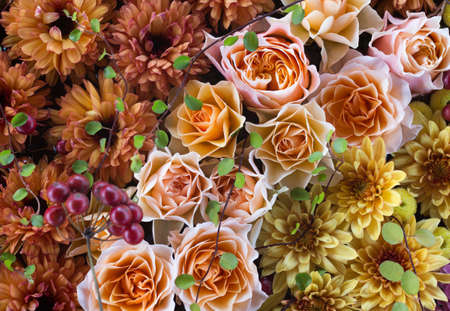 Composition of red, pink, yellow, and orange flowers. Flowers designed in stripes.の写真素材