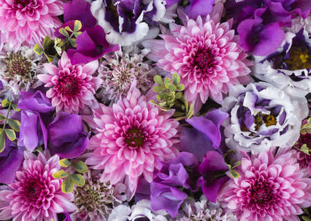 Composition of pink and purple flowersの写真素材
