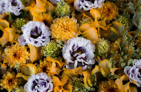 Composition of yellow and white flowersの写真素材