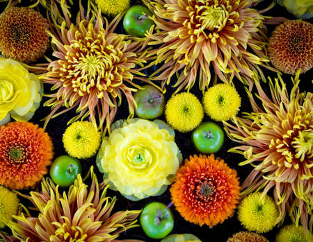 Composition of yellow flowers and green apples.の写真素材