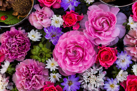 Arrangement of pink flowers. Toy ladybug decorations.の写真素材