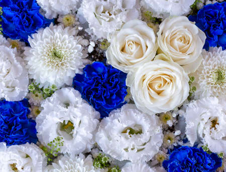 Composition of white and blue flowersの写真素材