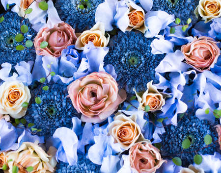 Composition of blue and pink flowersの写真素材