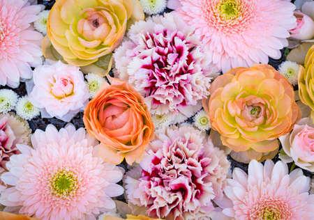 Composition of pink and orange flowersの写真素材