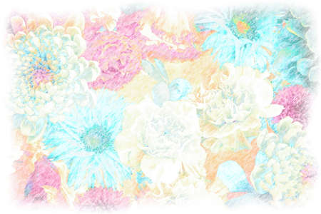 Chrysanthemums, gerberas, and carnations drawn with colored pencils.の写真素材