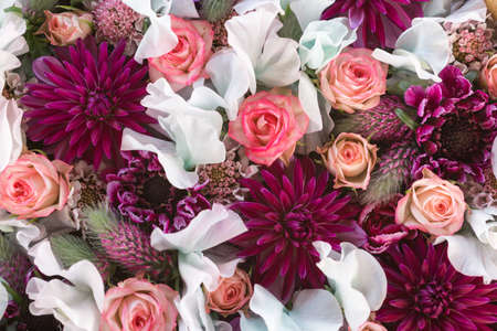 Composition of pink red and white flowersの写真素材