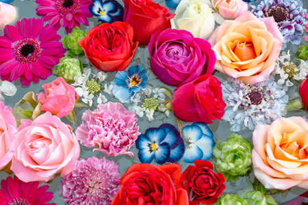 Colorful flowers floating on water.の写真素材