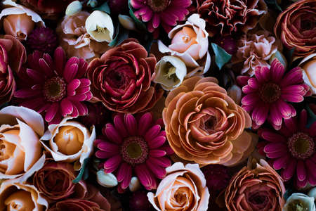 Composition of pink red and white flowersの写真素材