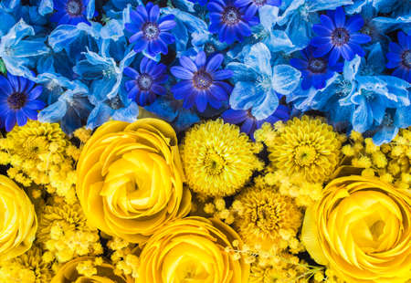 Flower arrangement with the colors of the Ukrainian flagの写真素材