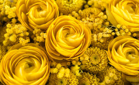 Yellow flowers. Mimosa, ranunculus, mums.の写真素材