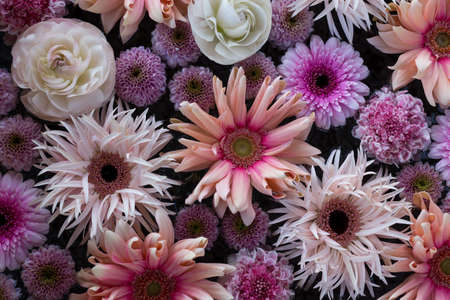 Composition of pink and white flowersの写真素材