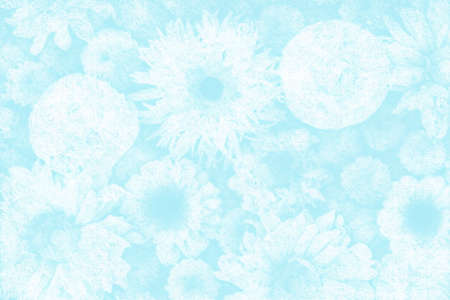 Flowers painted in white pastel on blue backgroundの写真素材
