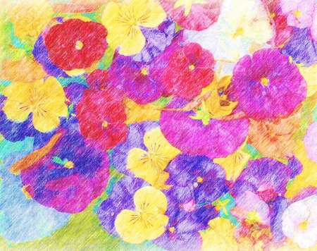 Colored pencil drawing of a pansy arrangementの写真素材