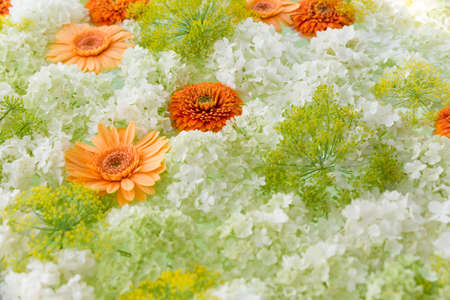 Full frame shot of hydrangea arrangementの写真素材