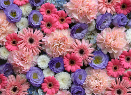 Beautiful flowers arrangement with carnation, eustoma and gerberaの写真素材