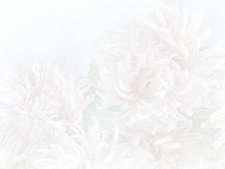 Stippling art. White chrysanthemum. Floral background in dotwork style.の写真素材