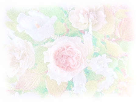 Stippling art. Rose, carnations and campanulas. Floral background in dotwork style.の写真素材