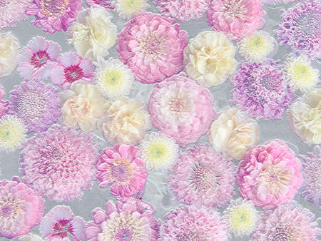 White and pink flowers on silver background. Metallic relief. 3D illustration. 3D renderの写真素材
