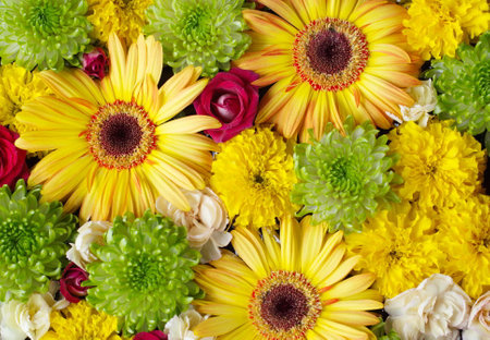 Composition of yellow, green, white and red flowersの写真素材
