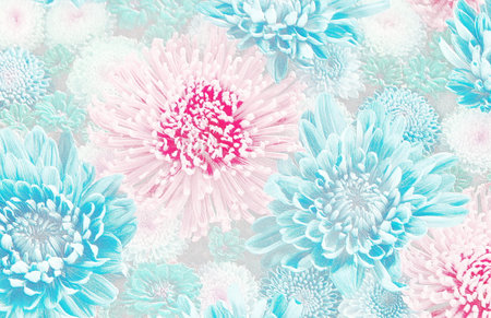 Relief of pink and blue flowers. chrysanthemum arrangement. 3D illustration. 3D renderの写真素材
