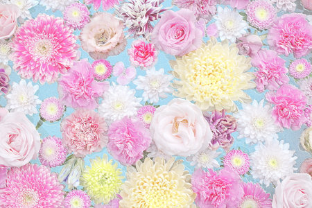 Relief of pink and yellow flowers with blue background. 3D illustration. 3D renderの写真素材