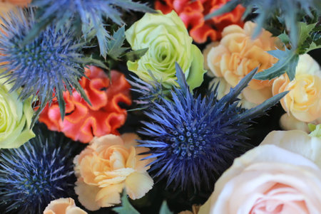 Arrangement of eryngium, cockscomb, rose and carnationの写真素材