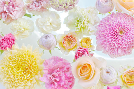 Beautiful flowers floating on surface of the water.の写真素材