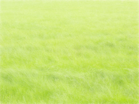 Field of spring grass. Hand drawn nature background. Green scenery.の写真素材