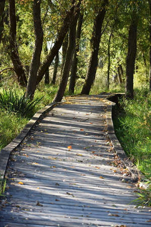 pathwayの写真素材