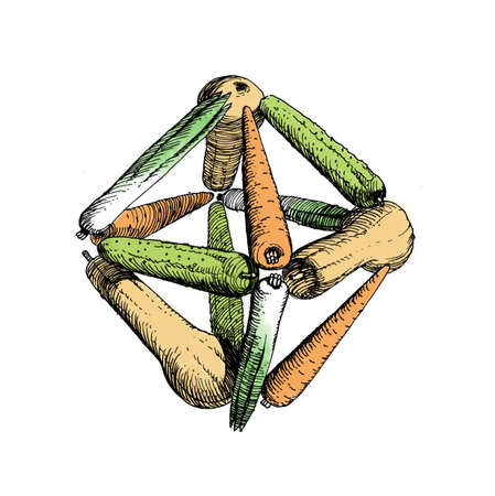 vegetablesの写真素材