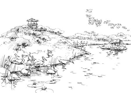 birds on the lakeの写真素材