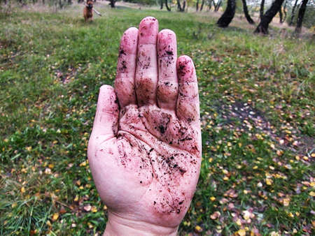 A dirty handの写真素材