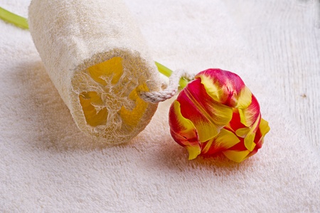 towel and tulipの写真素材