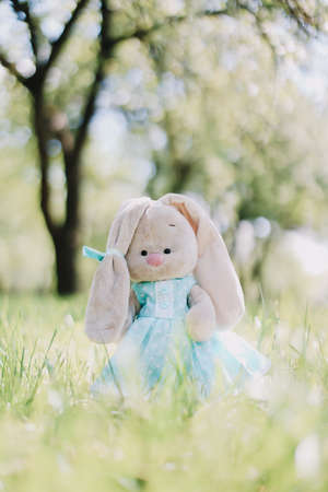 Toy bunny in a blue dress in the green grass. Little cute rabbitの写真素材