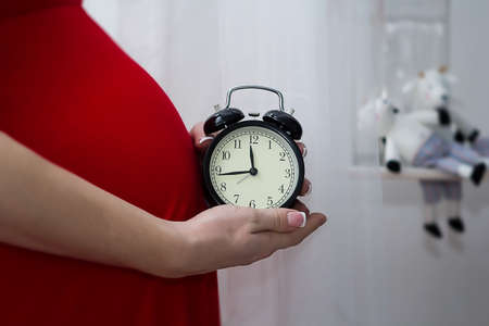 Pregnant woman belly. Pregnant girl in a red dress holding  an alarm clockの写真素材