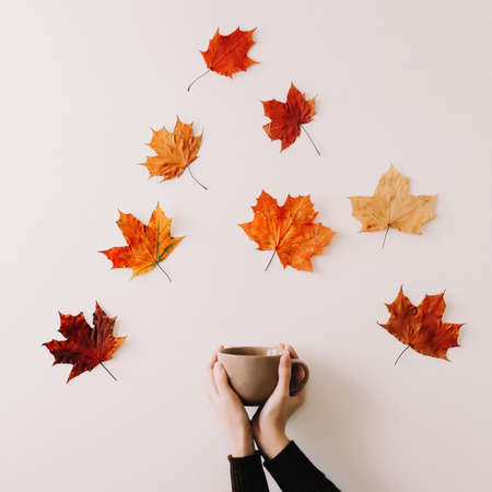 Coffee cup and flying maple leaves. Still lifeの写真素材