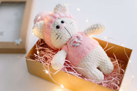 Handmade knitted toy  on white background.の写真素材