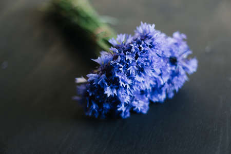 bouquet of cornflowers on a dark background. wedding details, bridal bouquet. wild flowersの写真素材