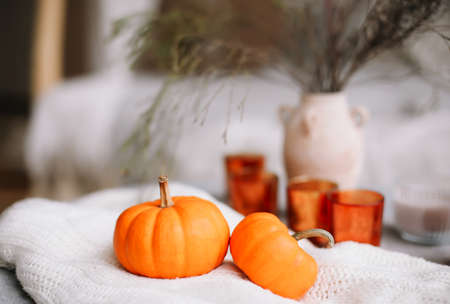 Autumn composition. Pumpkins, candles and dried flowers. Autumn, fall, halloween concept. Flat lay, top viewの写真素材