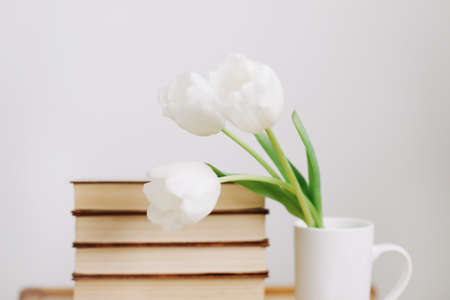 Bouquet of beautiful tulips. Mix of spring tulips flowers. Fresh Tulip Bouquet and books on white background. Spring flowers.の写真素材