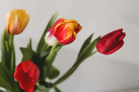 A bouquet of beautiful yellow and red tulips close-upの写真素材