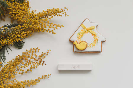 gingerbread cookie and mimosa flower on white background. Spring, springtime, April, Happy Easter conceptの写真素材