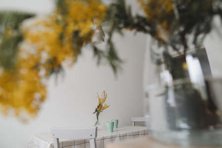 Spring flower mimosa on the kitchen table