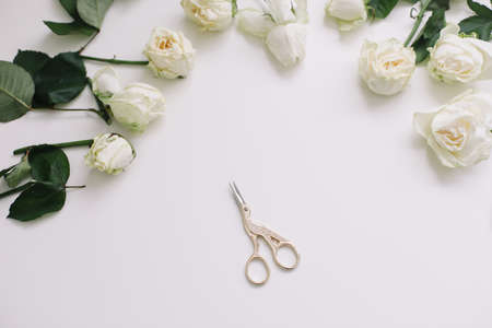 Floral composition with white roses and scissors on white background. Flatlay, top viewの写真素材