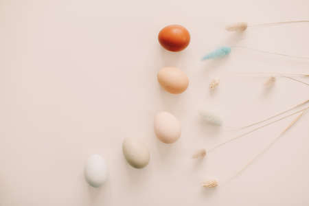 fresh chicken eggs of natural shades and colors on a white background. Happy Easter conceptの写真素材